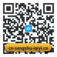 系统版 iOS 二维码